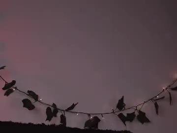 erohaze — #mistress #findom #strapon #sissy #femdom