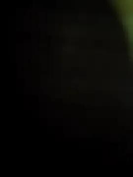 Troiavaca — Vibrator the ass(2minute)